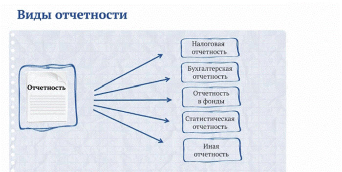 Виды бухгалтерской отчетности